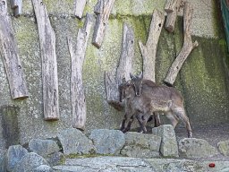Tiergarten Schönbrunn am 23.03.2023